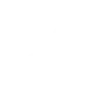 Roulette wheel icon for the roulette game category